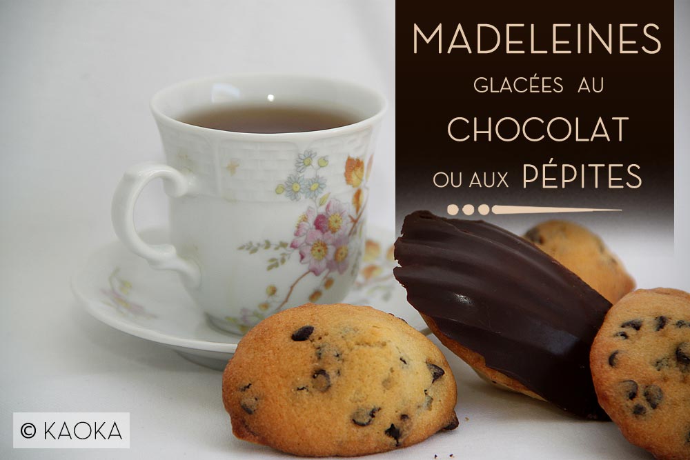 Madeleines glacées chocolat pépites KAOKA