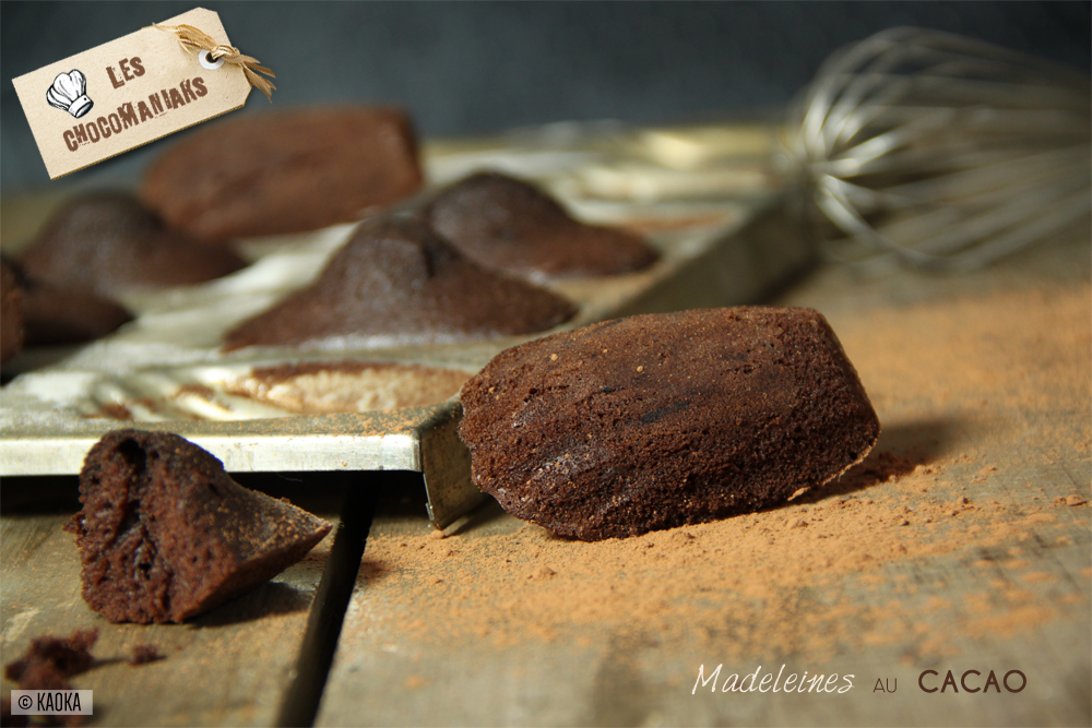 madeleines cacao chocolat bio